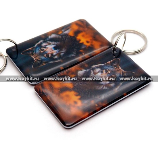 Мини карта Epoxy "Волк осень" 50*30 мм
