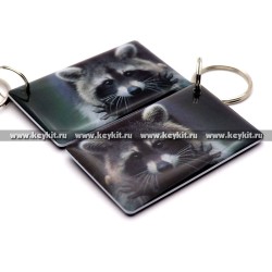 Мини карта Epoxy "Енот v2" 50*30 мм