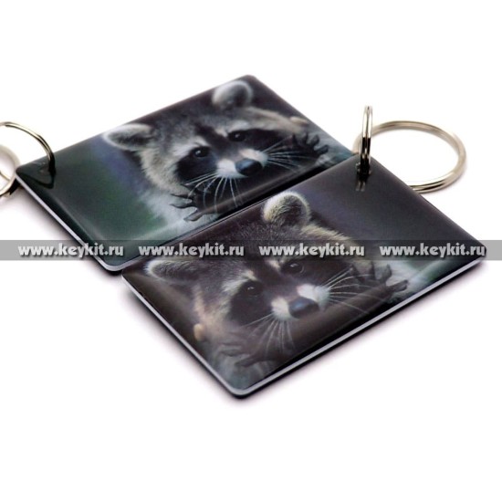 Мини карта Epoxy "Енот v2" 50*30 мм