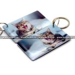 Мини карта Epoxy "Кот зевака" 50*30 мм