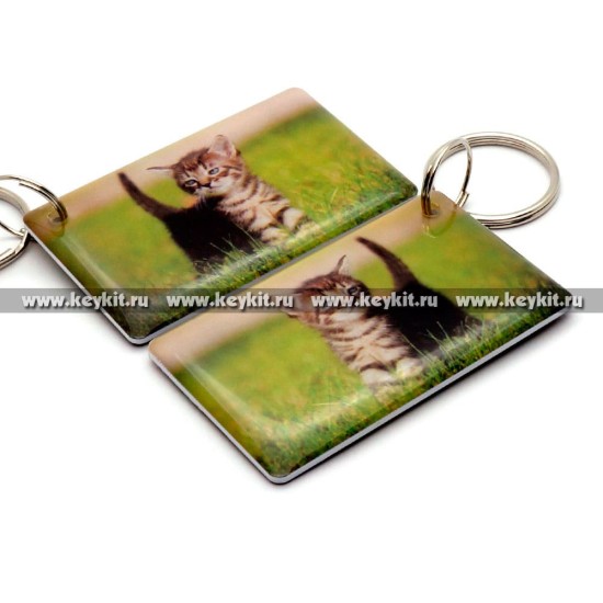 Мини карта Epoxy "Котенок на лужайке V2" 50*30 мм