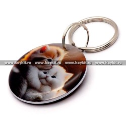 Мини карта Epoxy диск "Котята" 30 мм