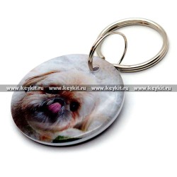 Мини карта Epoxy диск "Ши-тцу" 30 мм