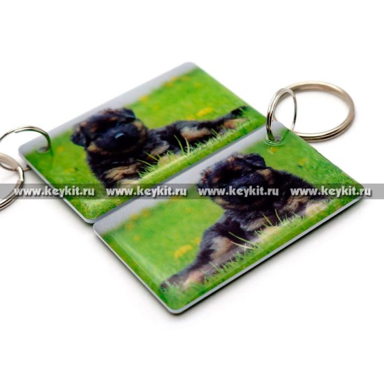 Мини карта Epoxy "Щенок Немецкой овчарки" 50*30 мм