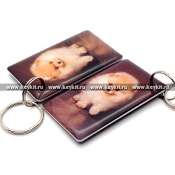 Мини карта Epoxy "Померанский шпиц" 50*30 мм Мини карта Epoxy "Померанский шпиц" 50*30 мм