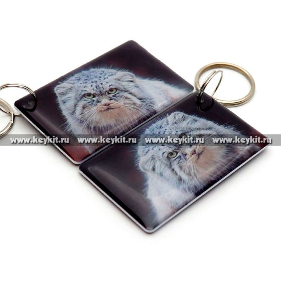 Мини карта Epoxy "Манул" 50*30 мм