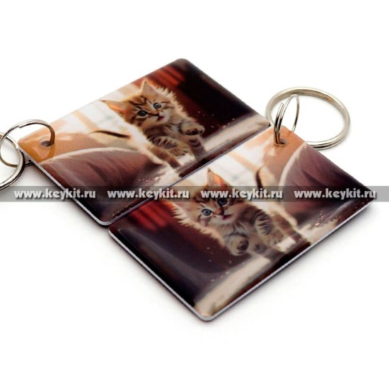 Мини карта Epoxy "Бегущий котенок" 50*30 мм