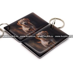 Мини карта Epoxy " Голден ретривер" 50*30 мм