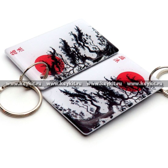 Мини карта Mifare MF-3.2 "Азия"