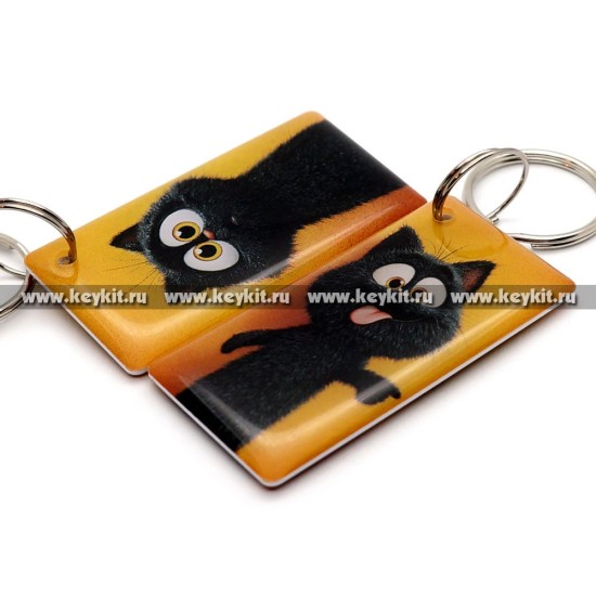 Мини карта Epoxy MF Zero "Черный кот" 50*25мм