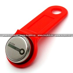 Ключ - заготовка iK23-VI (аналог TM08-Vi2, RW99)